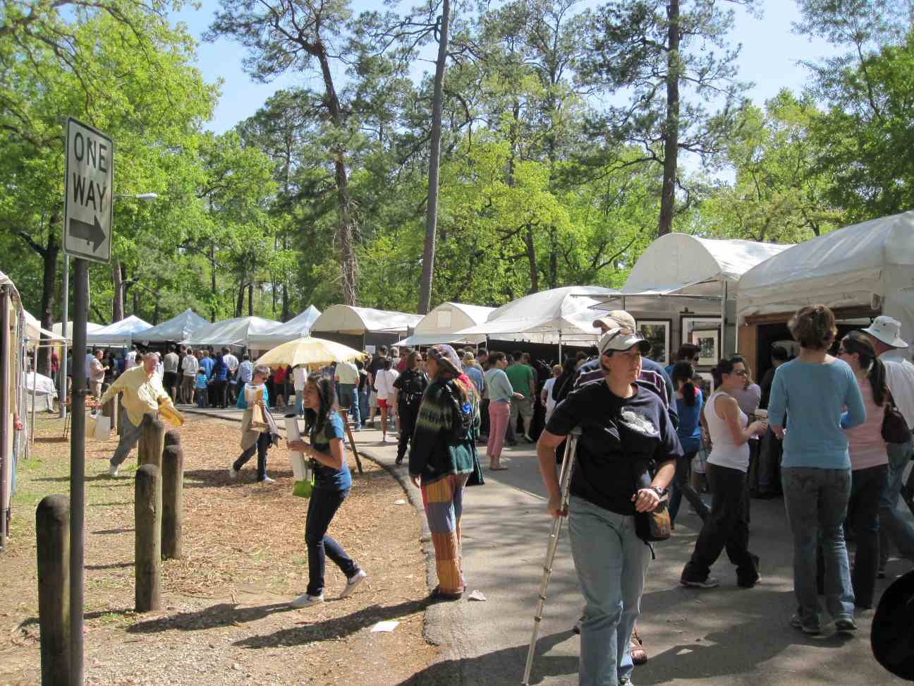 clearlytangled. bayou city art festival