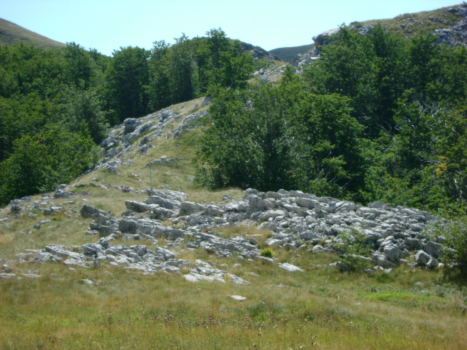 Ljepote planina Sveto brdo, rujan 2010.