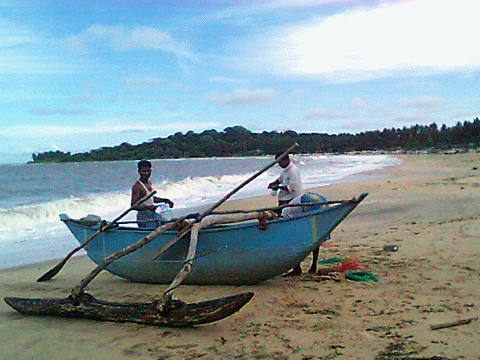 ampara.gif
