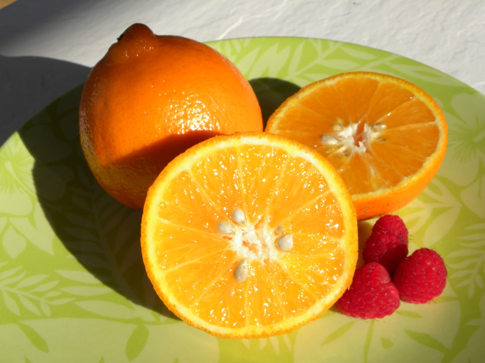 Moments of Delight...Anne Reeves Honeybell Oranges