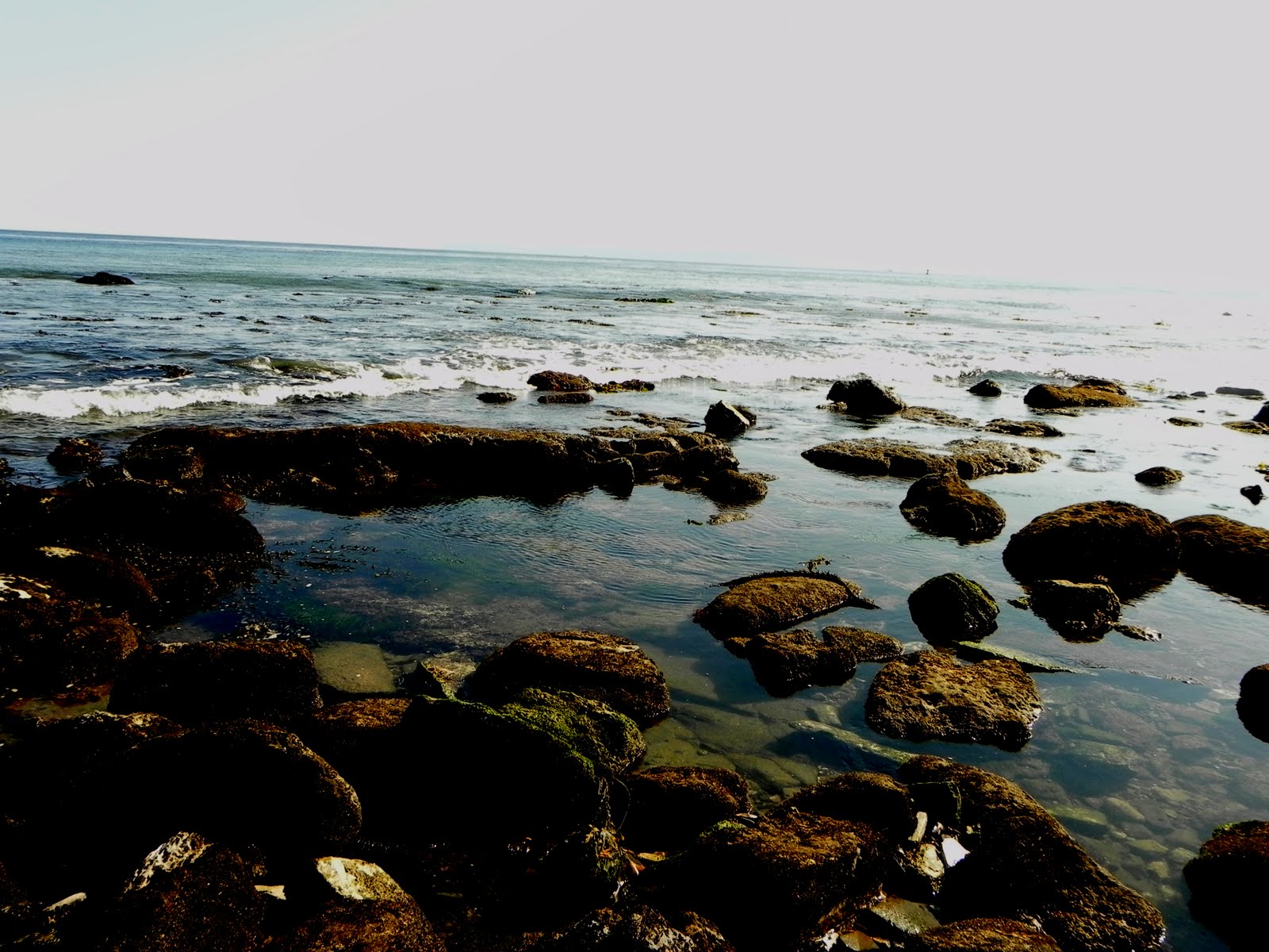 Light Impressions San Pedro Tide pools