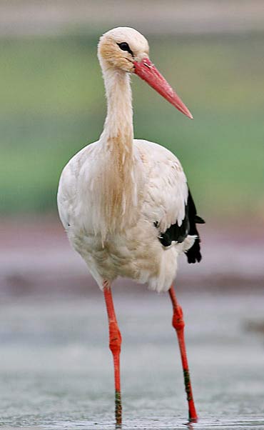 [4226_Kopia-skan532.jpg]