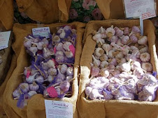 Garlic at market