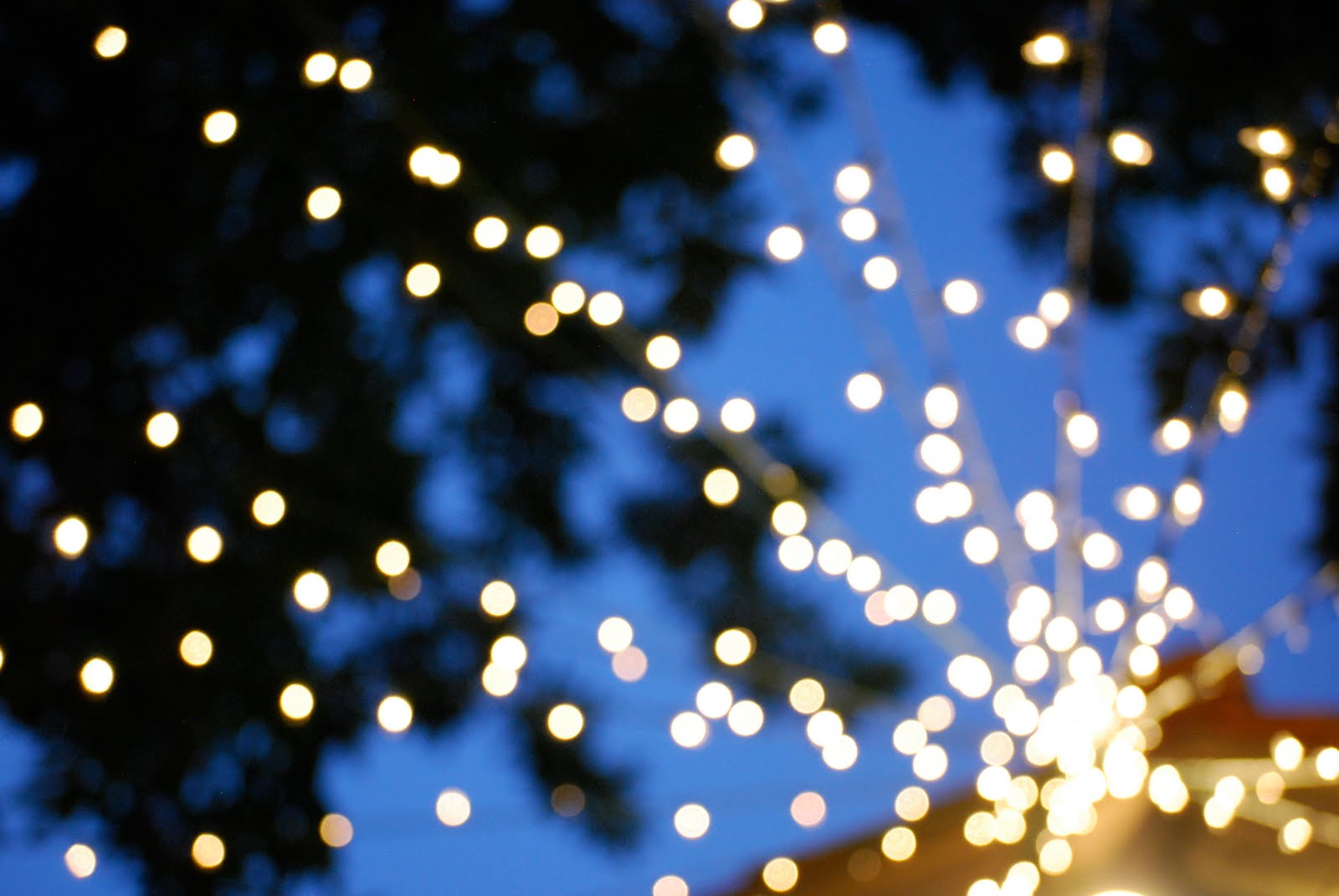 claire white twinkle lights