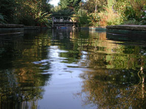 Garden Pond
