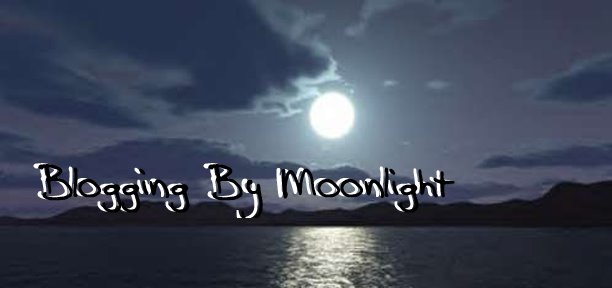 Blogging by Moonlight