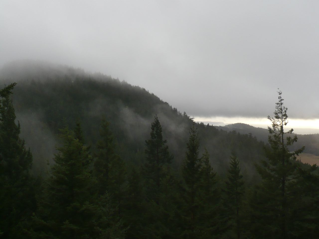 P1020159.jpg