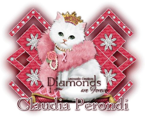 [Claudia+Perondi_DCat.bmp]