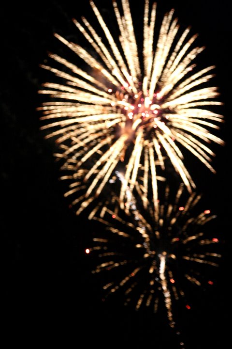 [IMG_9930.JPG]