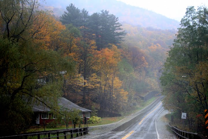 [IMG_2337.JPG]