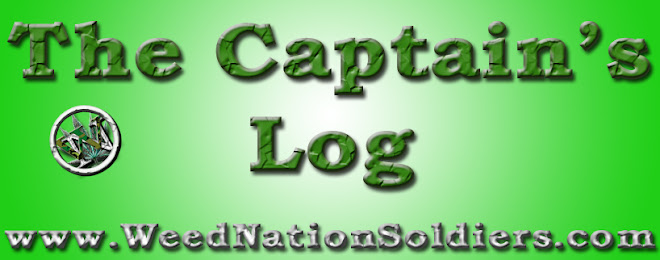 The Captain's Log