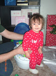 Picture of The Week  1/13/ - 1/20/09