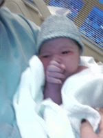 My Newest Grand Child
