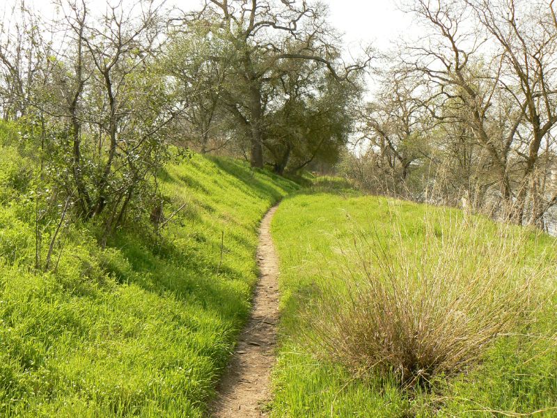 [grass+trail.jpg]