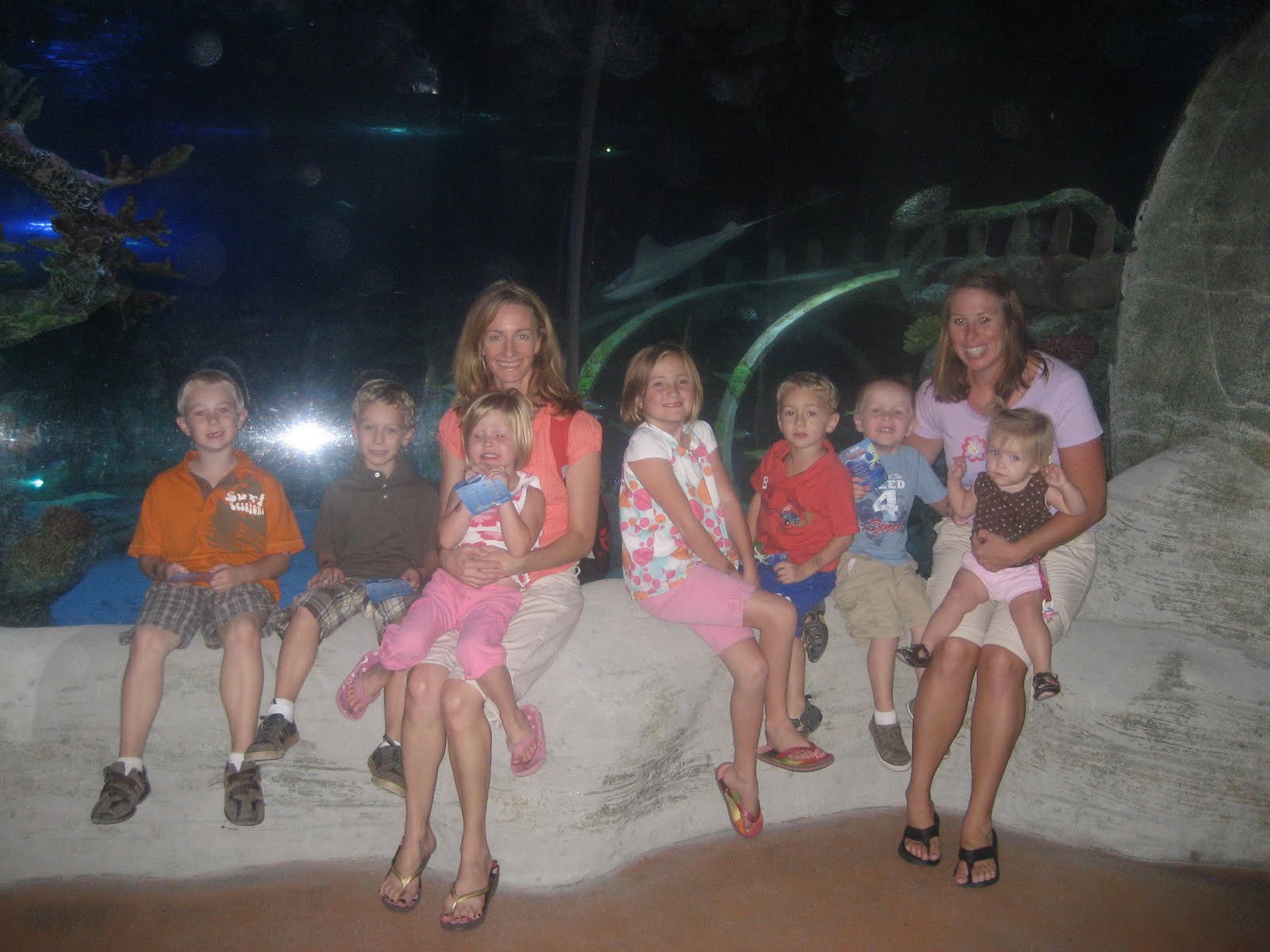 The Crazy Cramers Arizona Mills Sea Life Aquarium