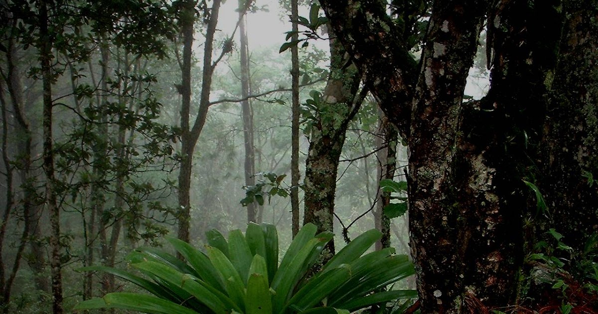 La Botija,zona Sur, Honduras Fotografías de