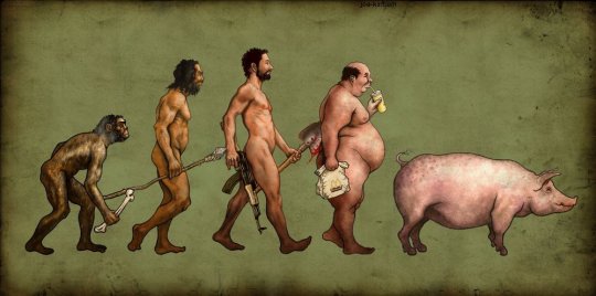 evolucion-hombre-cerdo.jpg