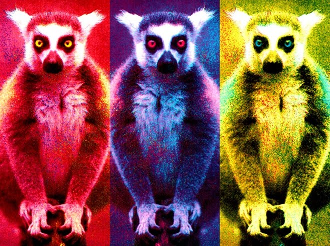 ELECTRIC LEMUR