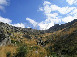 pastoreo en el valle del jerte