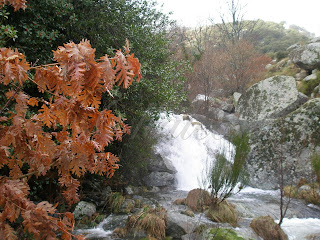 otoño en el valle del jerte