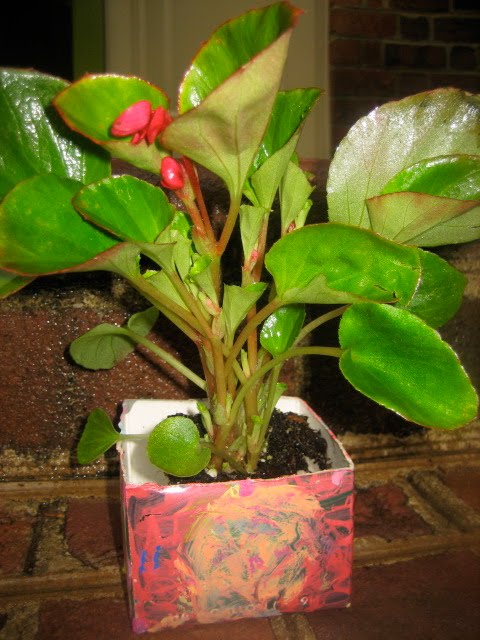 Repurpose a Milk or OJ carton into a planter--Earth Day Idea