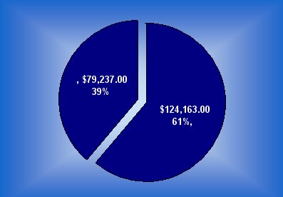 [update_debt.bmp]