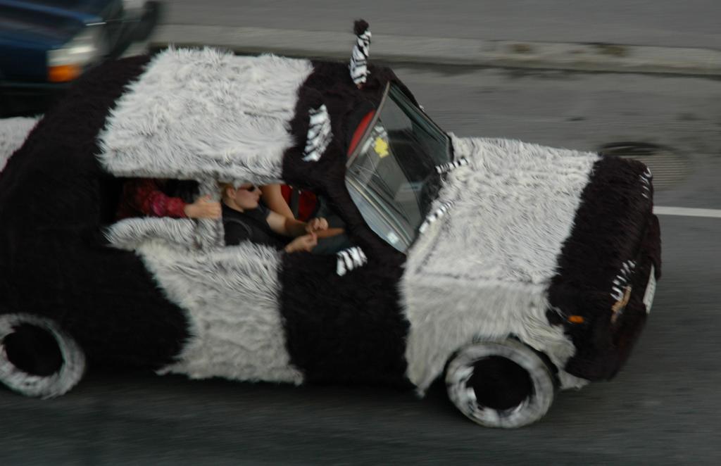 Пушистый автомобиль
