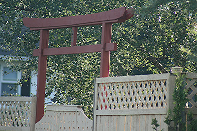 nature tales and camera trails: July 2010