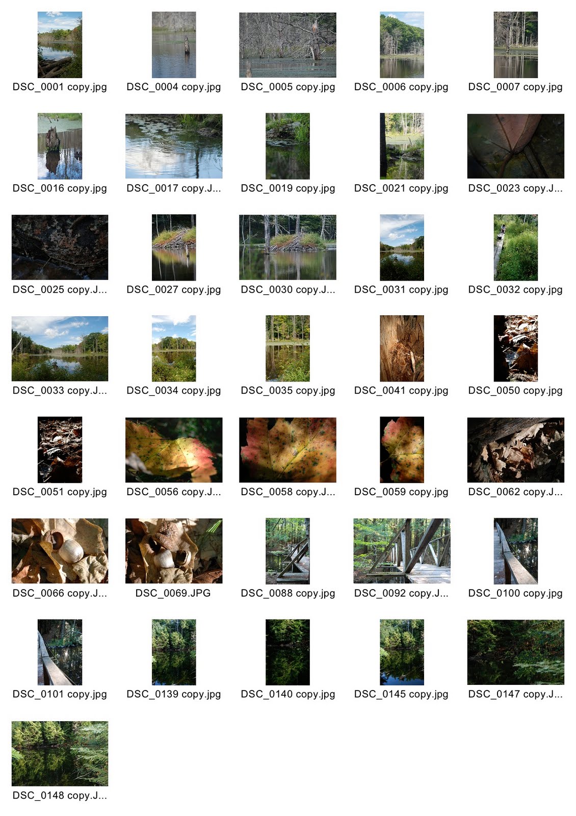 Dial a teacher image