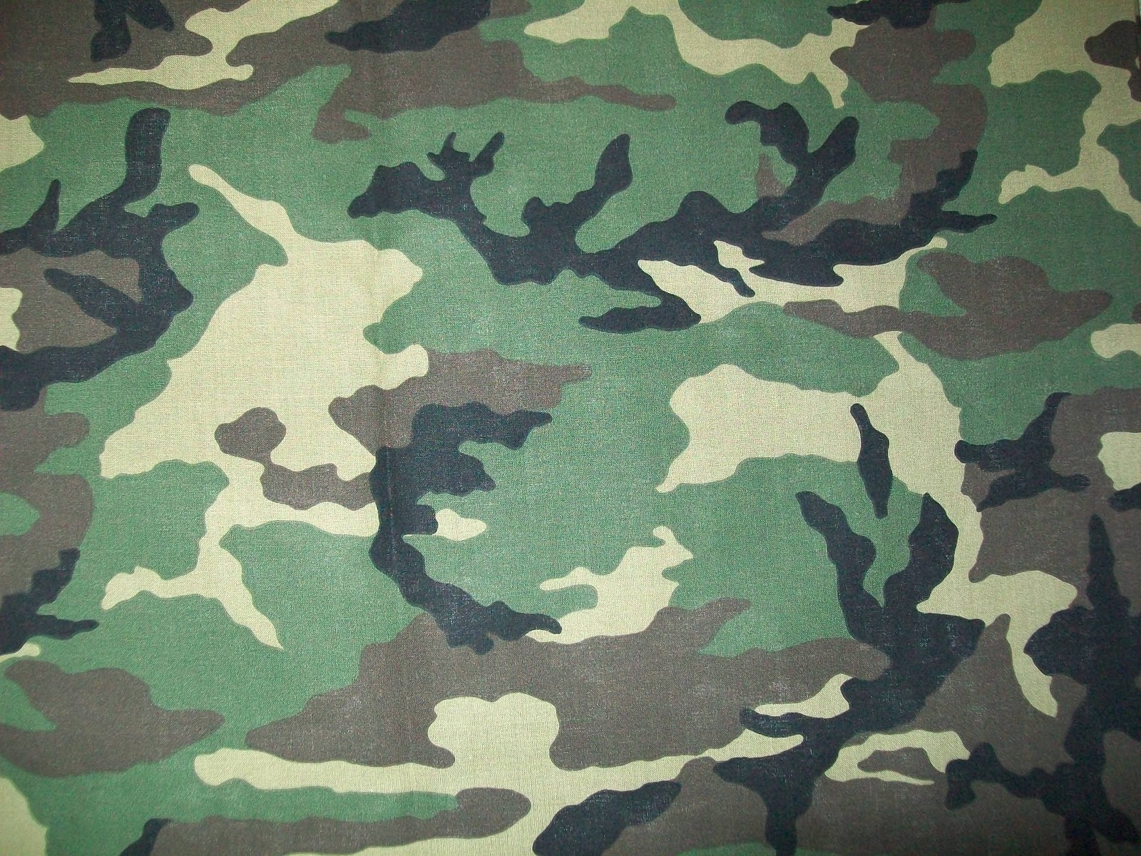 The Desert Quilter: Is Camouflage A Color?