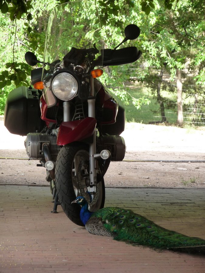 [p1040010.jpg]