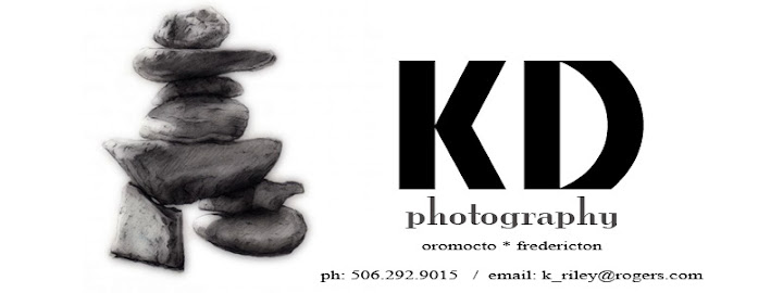 kdphotography