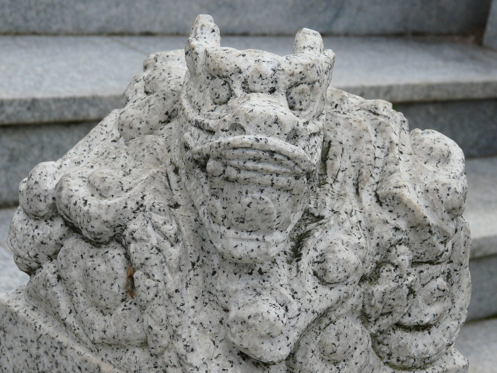 [P1070444.JPG]