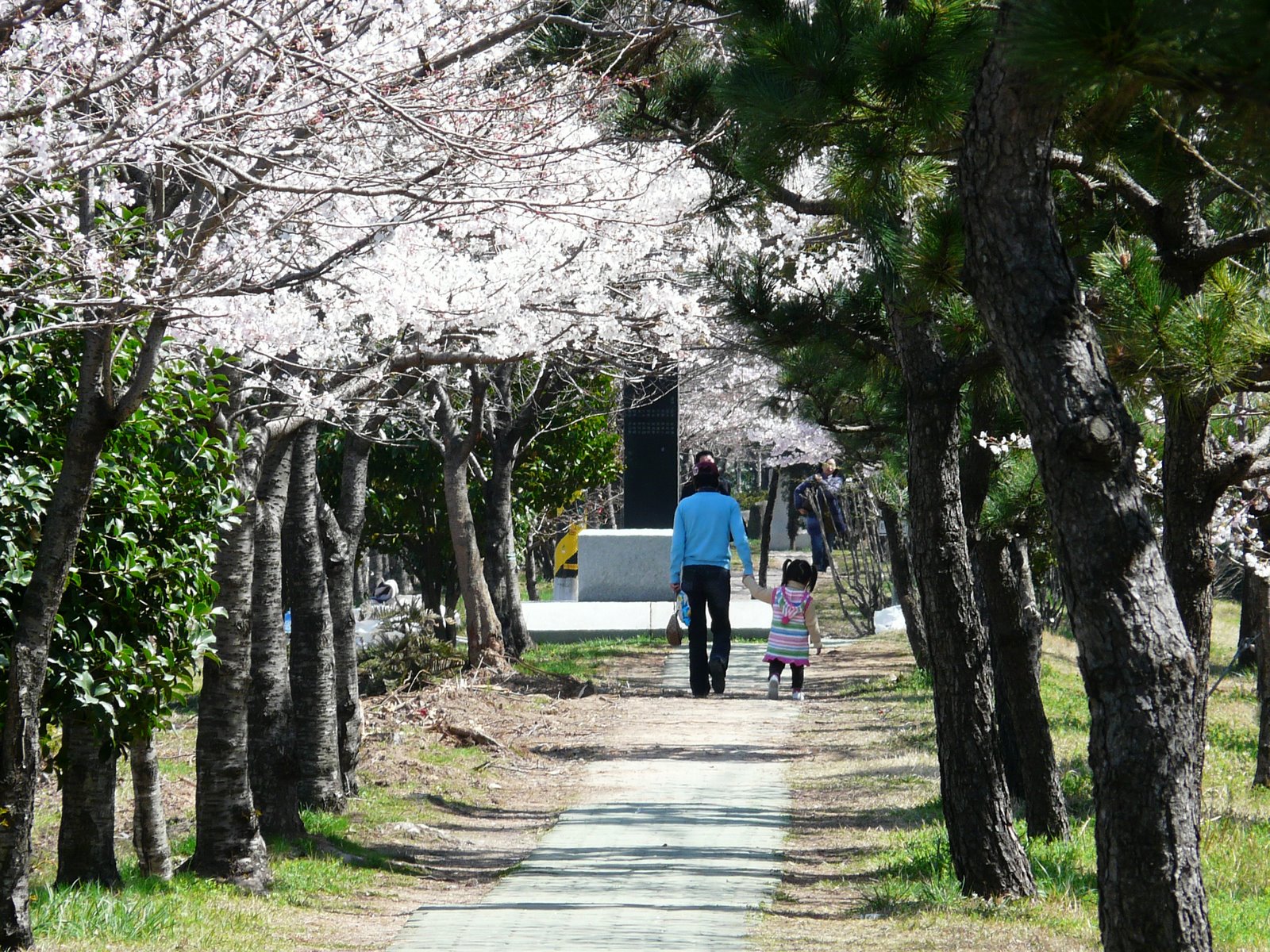 [P1080039.JPG]