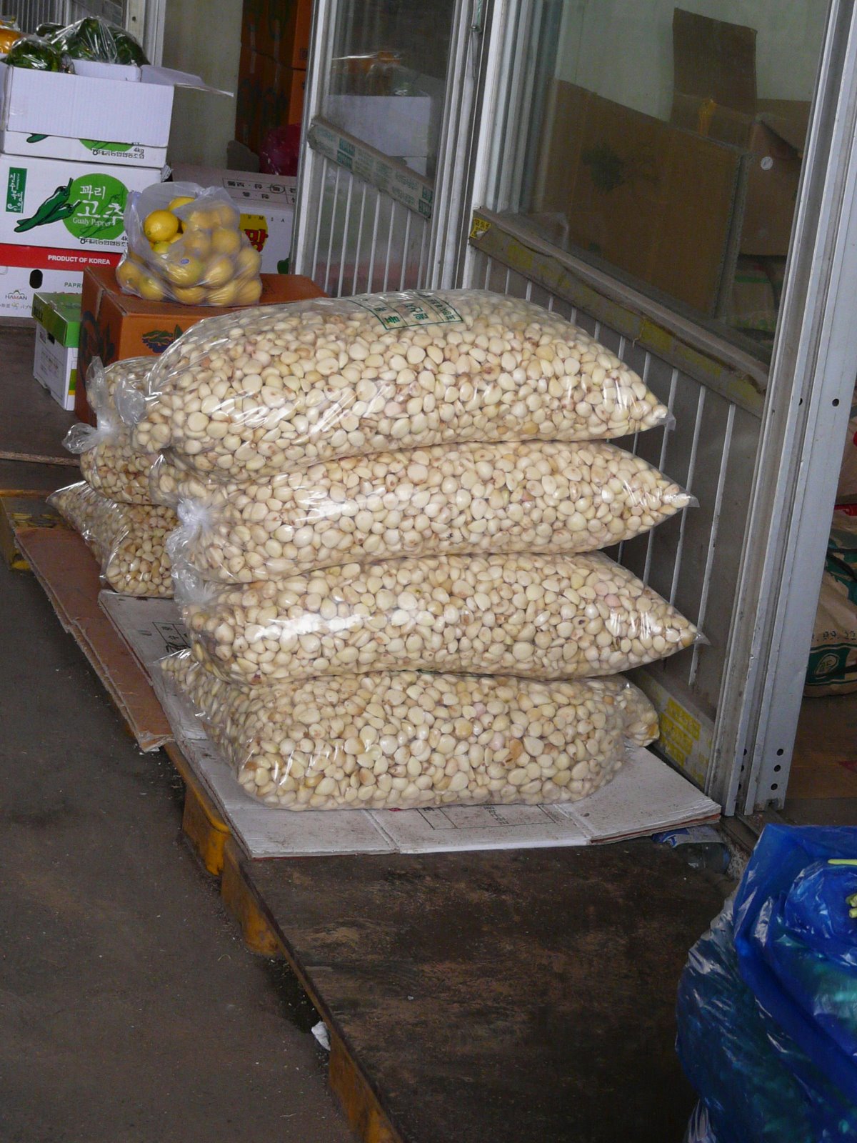 [P1090342.JPG]