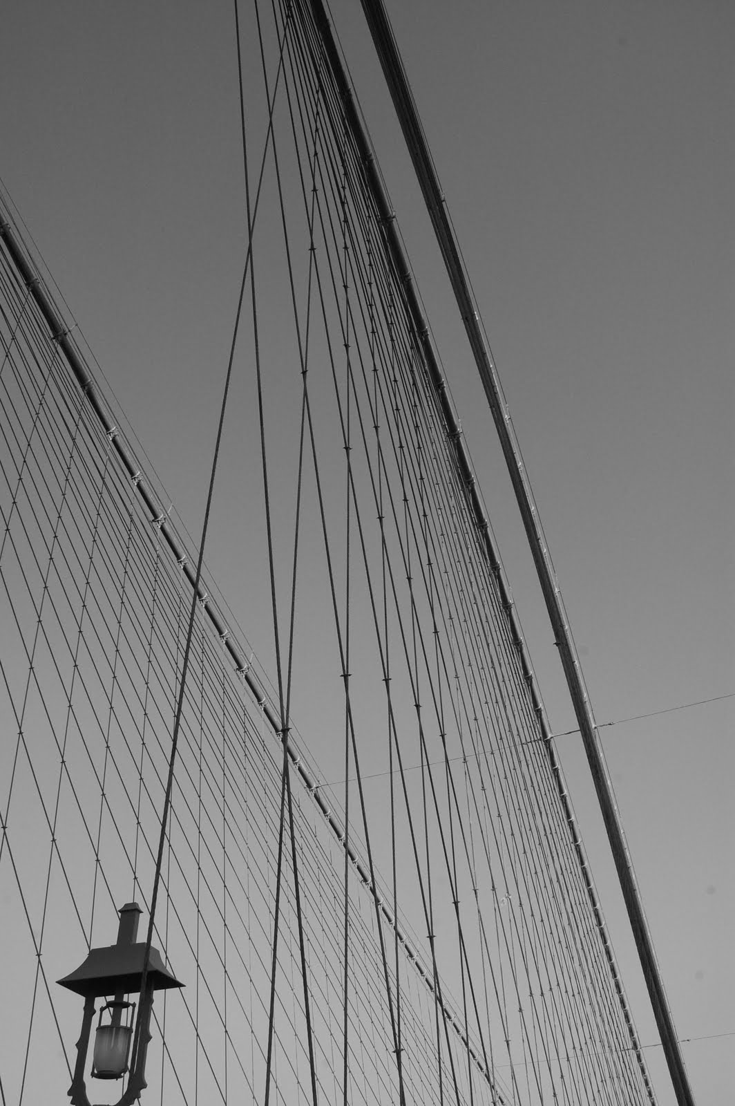[Brooklyn+bridge+bnw+wires.JPG]