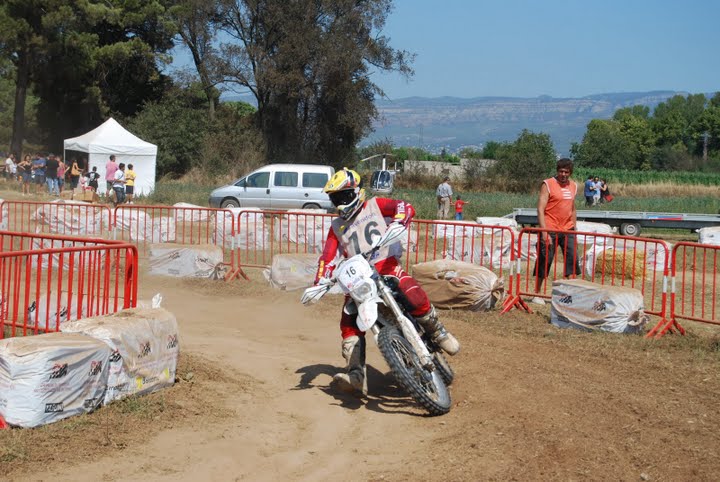 [forococheselectricos5.jpg]