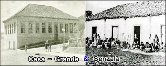 Leandro Danúbio: Casa-Grande & Senzala - Gilberto Freyre