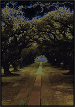 Oak Valley Plantation