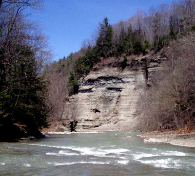cattaraugus creek fishing fly