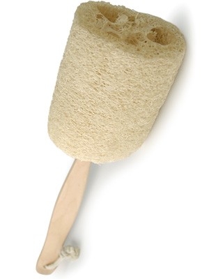 [loofah-back-brush_main.jpg]