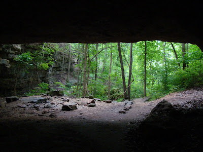 This Small Tonka State Park Hides a Terrifying Truth That Will Make Your Skin Crawl!