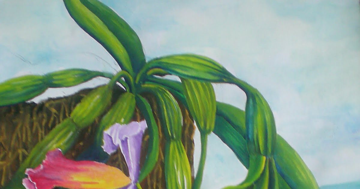 Contoh Lukisan Bunga Orkid Contoh Tiga