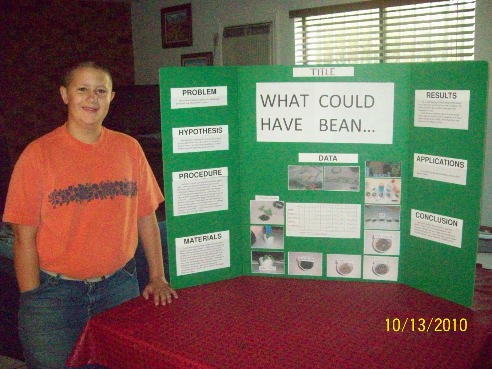 the Felt Factor: 6th grade science fair