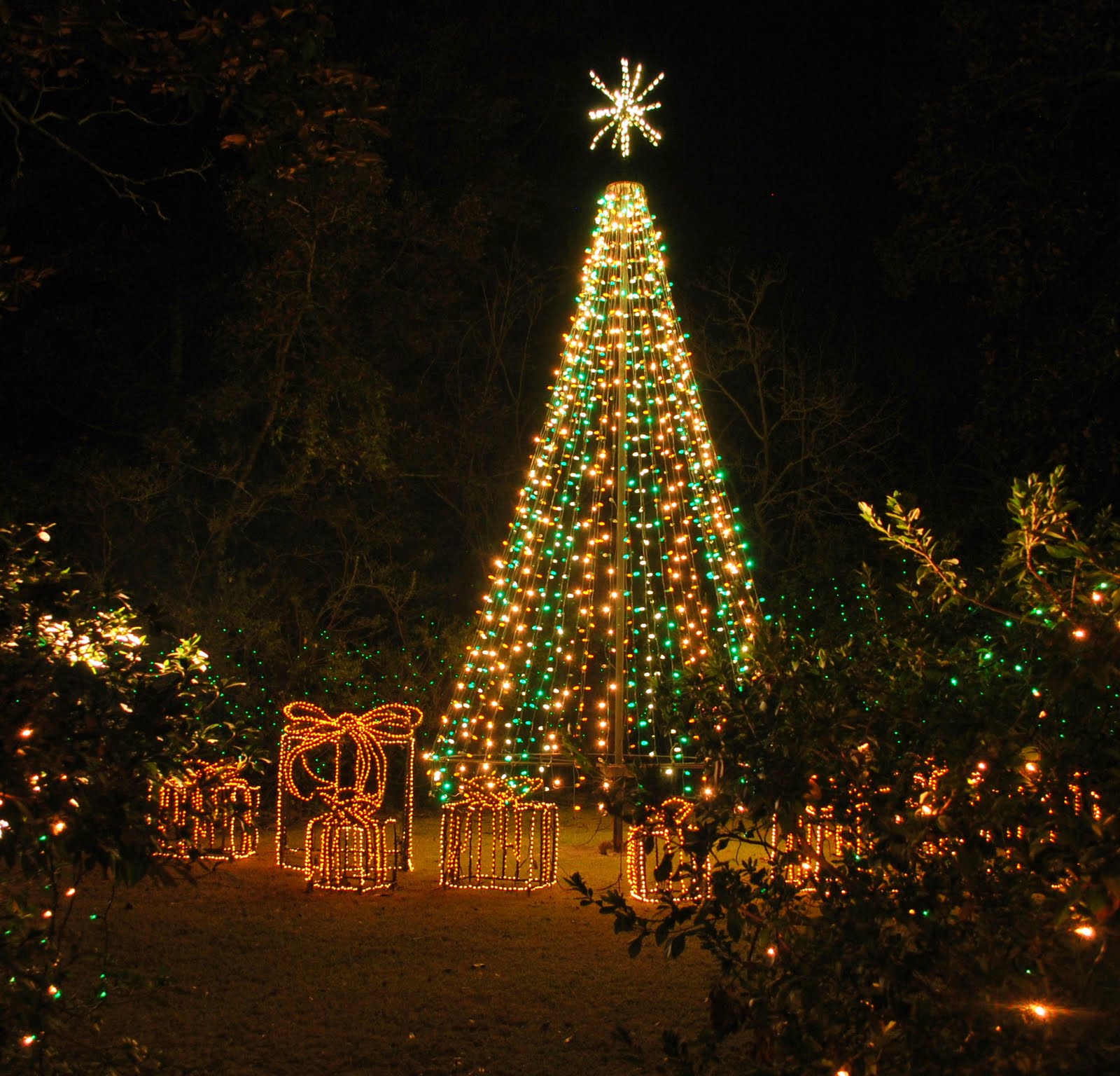 CT on the BAY CHRISTMAS LIGHTS AT BELLINGRATH
