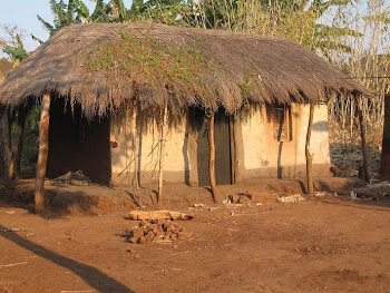 Malawian Hut
