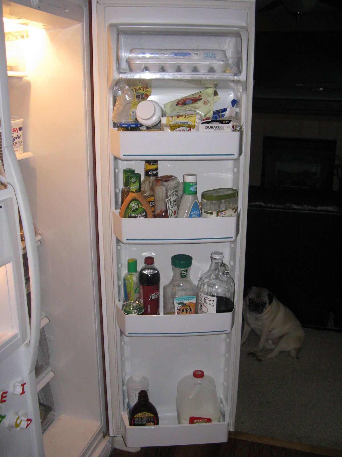 [The+Refrigarator+001.jpg]