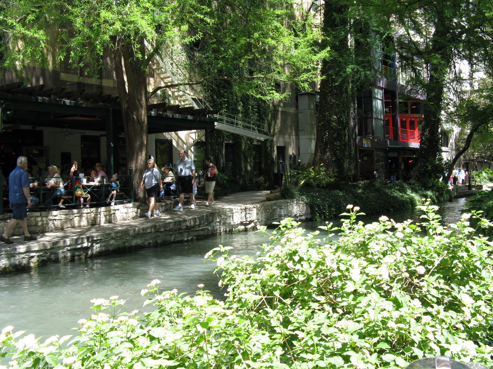 [First+Pictures+w+New+Camera+012.jpg]