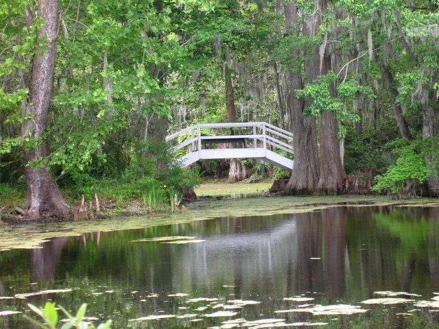 [photo_795_20081001[1].JPG]