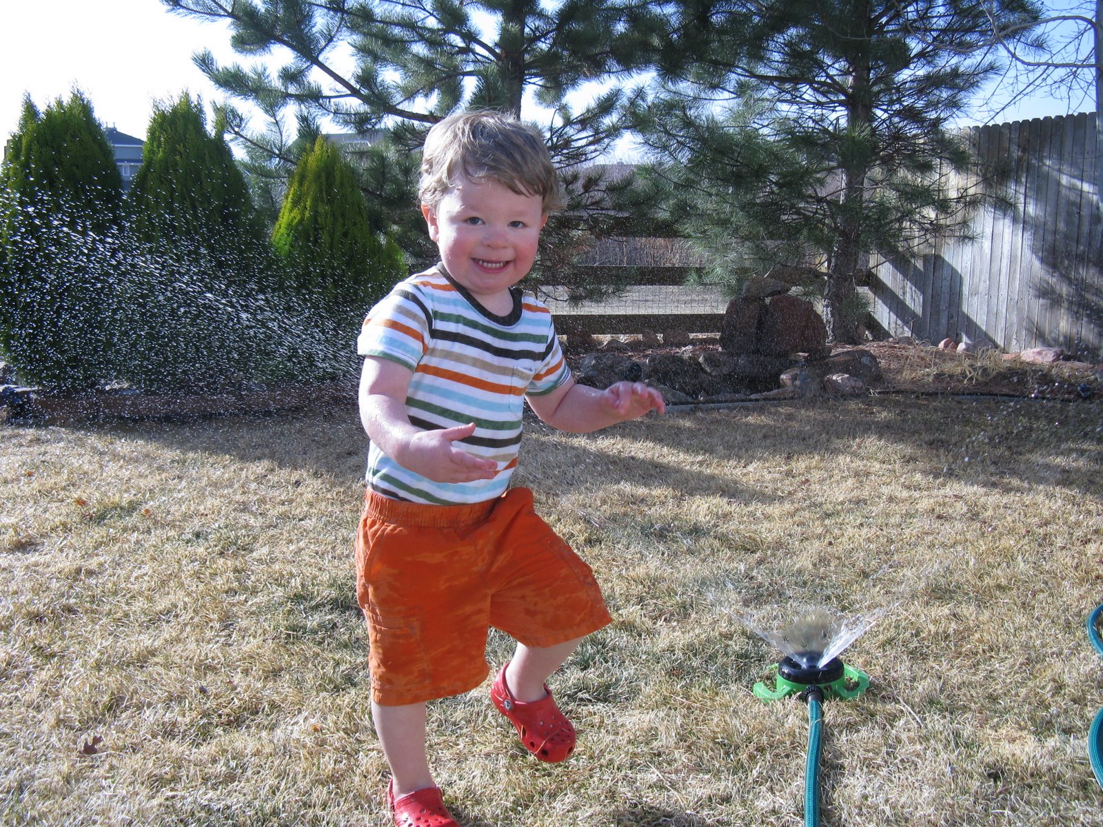 [Ebay+Pictures+012.jpg]